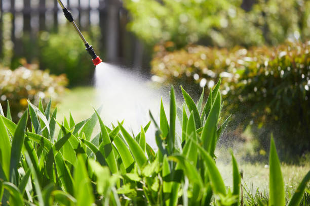 24/7 Emergency Wasp Removal experts in Muncie, IN