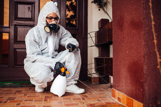 Reliable Wasp Removal contractor in Muncie, IN by Show Me Pest Control