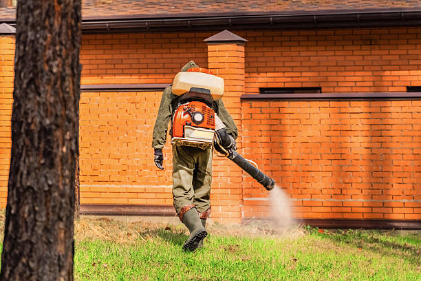 Top rated local Wasp Removal specialists in Muncie, IN